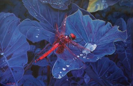 Dragonfly by Babu K.G